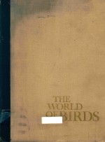 The world of birds