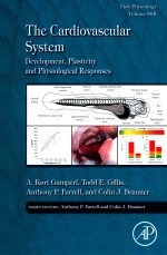 THE CARDIOVASCULAR SYSTEM: DEVELOPMENT