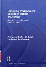 Changing pedagogical spaces in higher education: diversity