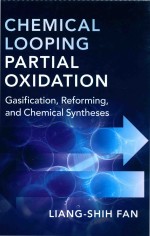 Chemical Looping Partial Oxidation Gasification