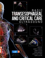 BASIC TRANSESOPHAGEAL AND CRITICAL CARE ULTRASOUND