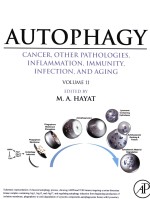 AUTOPHAGY CANCER