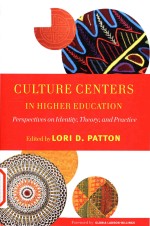 Culture centers in higher education perspectives on identity