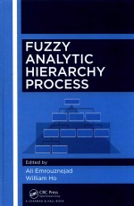 Fuzzy Analytic Hierarchy Process