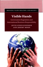 Visible Hands Government Regulation and International Business Responsibility