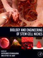 NIOLOGY AND ENGINEERING OF STEM CELL NICHES