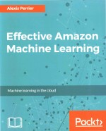 Effective Amazon Machine Learning Machine learning in the cloud