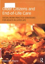 Older citizens and end-of-life care: social work practice strategies for adults in later life