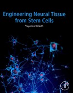 ENGINEERING NEURAL TISSUE FROM STEM CELLS