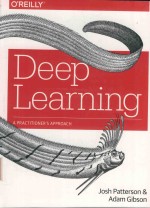 Deep Learning a practitioner`s approach