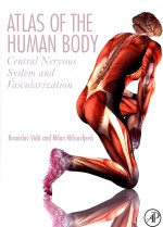 ATLAS OF THE HUMAN BODY CENTRAL NERVOUS SYSTEM AND VASCULARIZATION