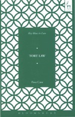 Key Ideas In Tort Law