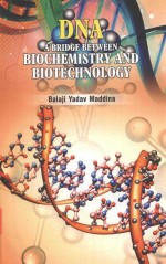 DNA: A BRIDGE BETWEEN BIOCHEMISRY AND BIOTECHNOLOGY