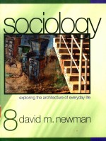 Sociology exploring the architecture of everyday life