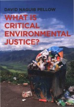 What Is Critical Environmental Justice?