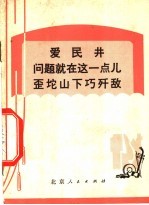 爱民井问题就在这一点儿歪坨山下巧歼敌