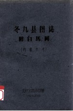 冬九县图志：附白马冈