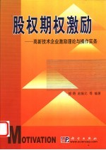 股权期权激励 高新技术企业激励理论与操作实务