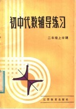 初中代数辅导练习 二年级上学期