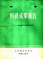 科研成果报告 1×10树脂生产工艺的补充报告