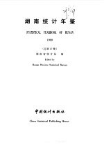 湖南统计年鉴 1999 总第17期