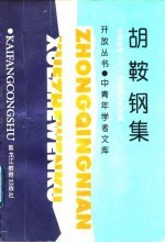 胡鞍钢集  中国走向二十一世纪的十大关系