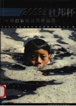 2003年杜邦杯环境好新闻获奖作品集