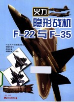 隐形战机 F-22与F-35