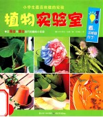 小学生最喜欢做的实验  植物实验室