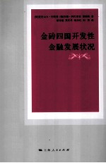 金砖四国开发性金融发展状况