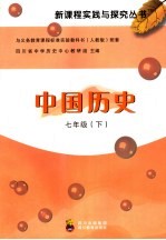 中国历史  七年级下  人教版