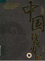 中国式持续发展