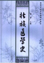 壮族医学史