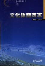 2006年湖北发展蓝皮书 文化体制改革