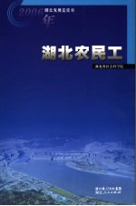 2006年湖北发展蓝皮书 湖北农民工