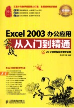 Excel 2003办公应用实战从入门到精通 超值版