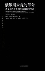 俄罗斯未竟的革命  从戈尔巴乔夫到普京的政治变迁