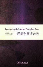 国际刑事诉讼法