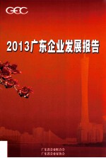 2013广东企业发展报告