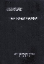 世界银行第4期技术援助项目《地方政府改革研究及试点》子课题之一 贵州小城镇改革发展研究