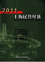 2011上海民营经济