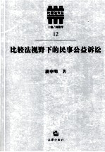 比较法视野下的民事公益诉讼