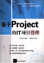 基于Project的IT项目管理