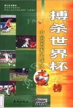 搏杀世界杯  中国国家足球队龙虎榜