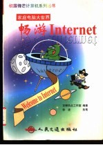 畅游Internet