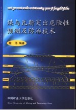 煤与瓦斯突出危险性预测及防治技术