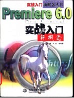 Premiere 6.0实战入门新概念