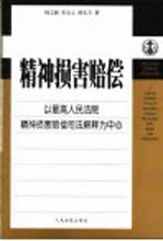 精神损害赔偿 以最高人民法院精神损害赔偿司法解释为中心