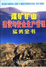 煤矿矿山建设与安全和平管理实务全书 第2卷