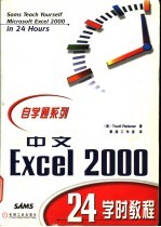 中文Excel 2000 24学时教程